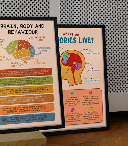 Boho Brain Anatomy Psychology Mental Health Poster (1)