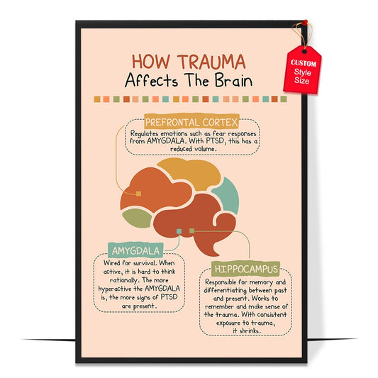 Boho How Trauma Affects The Brains Poster