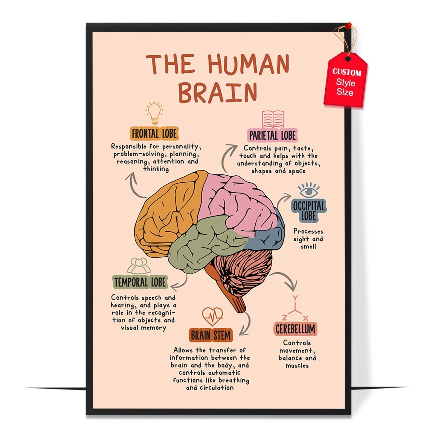 Boho The Human Brain Poster