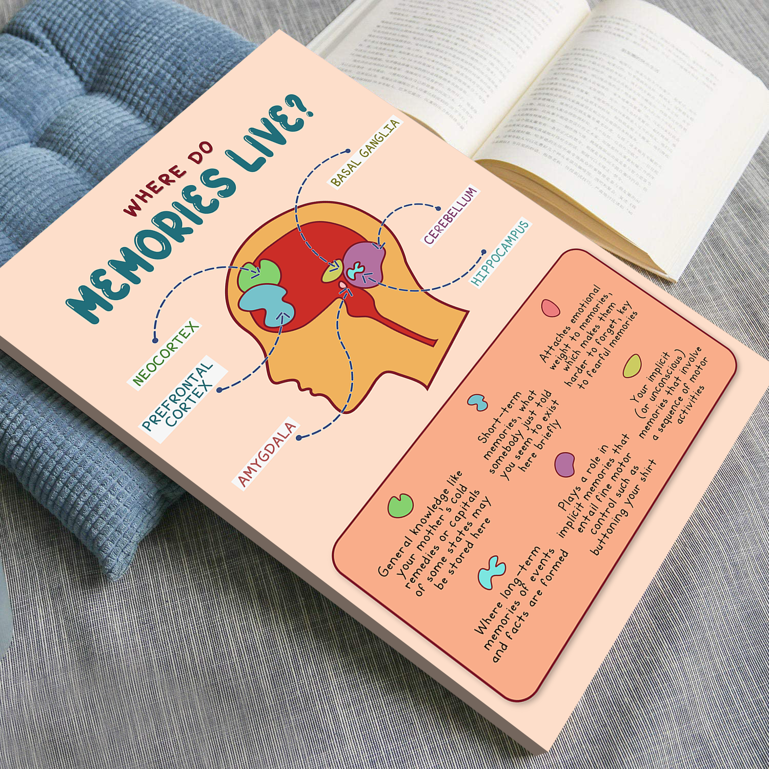 Boho Where Do Memories Live Anatomy Therapy Poster (4)