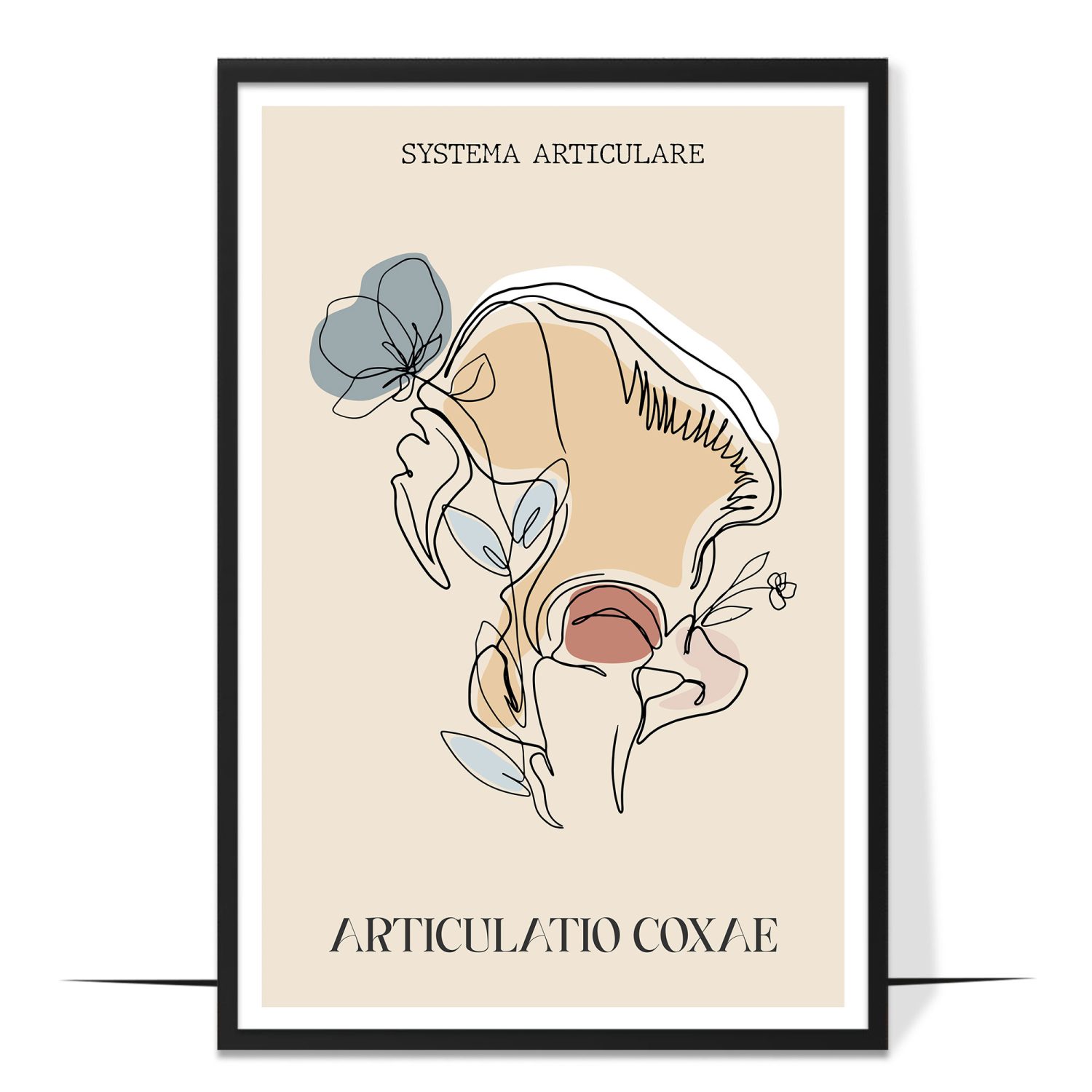 Abstract Articulatio Coxae Anatomy Poster
