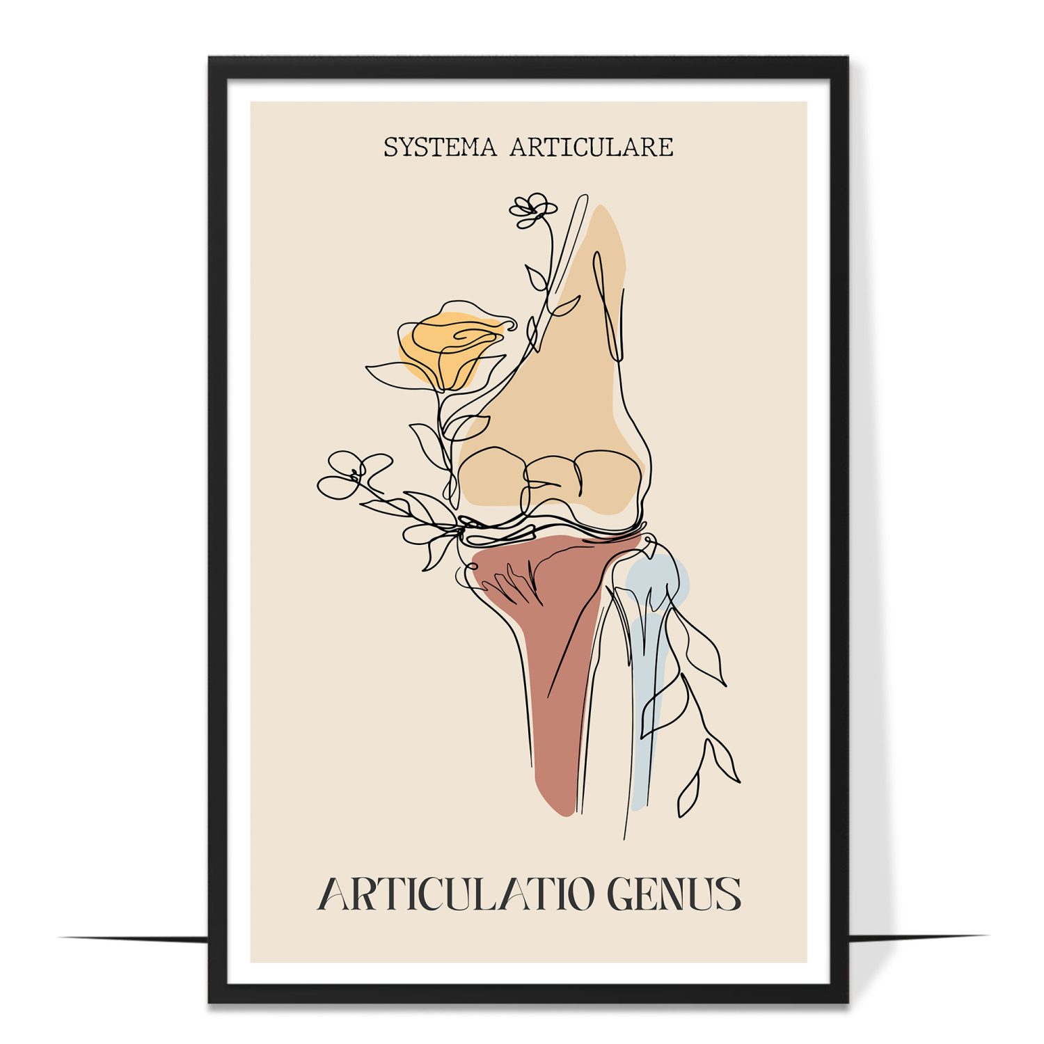 Abstract Articulatio Genus Anatomy Poster