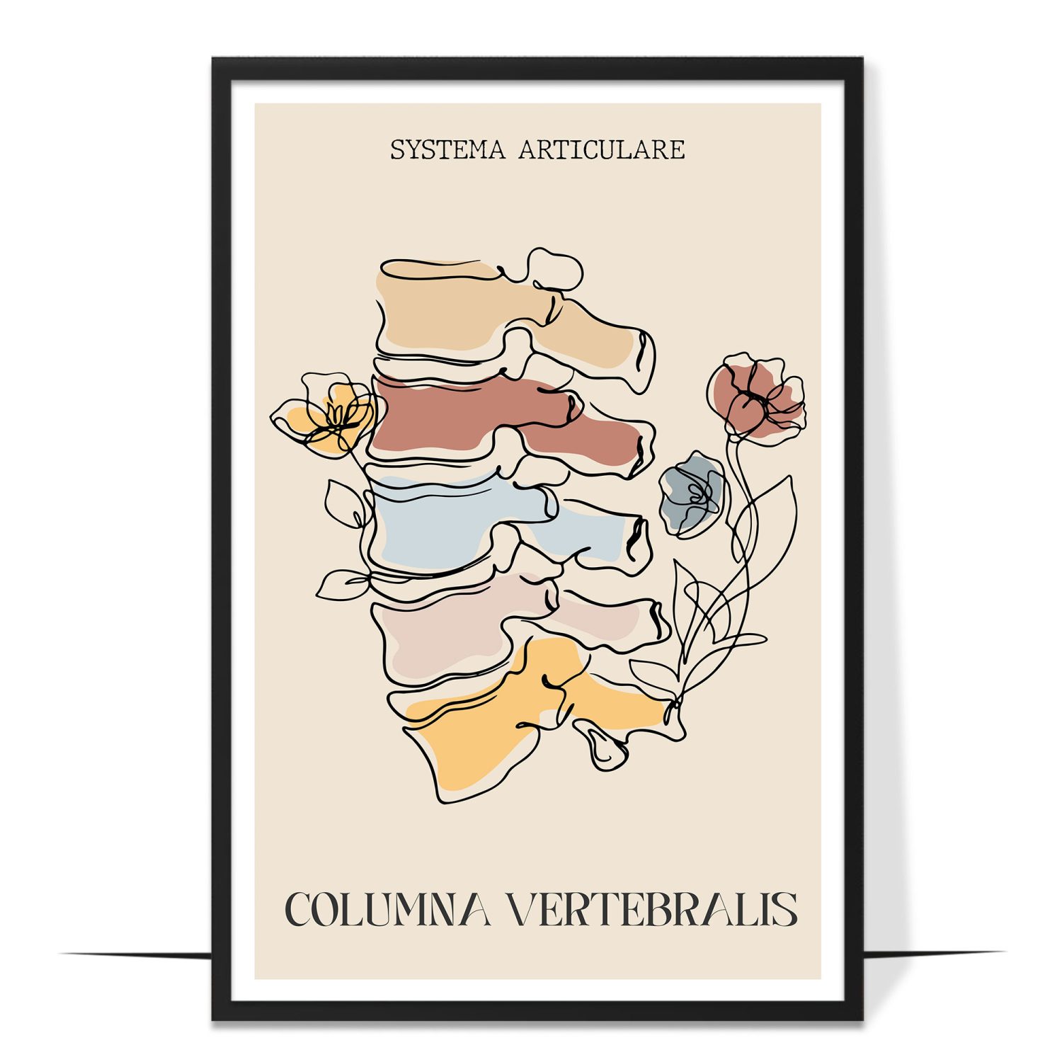 Abstract Columna Vertebralis Anatomy Poster