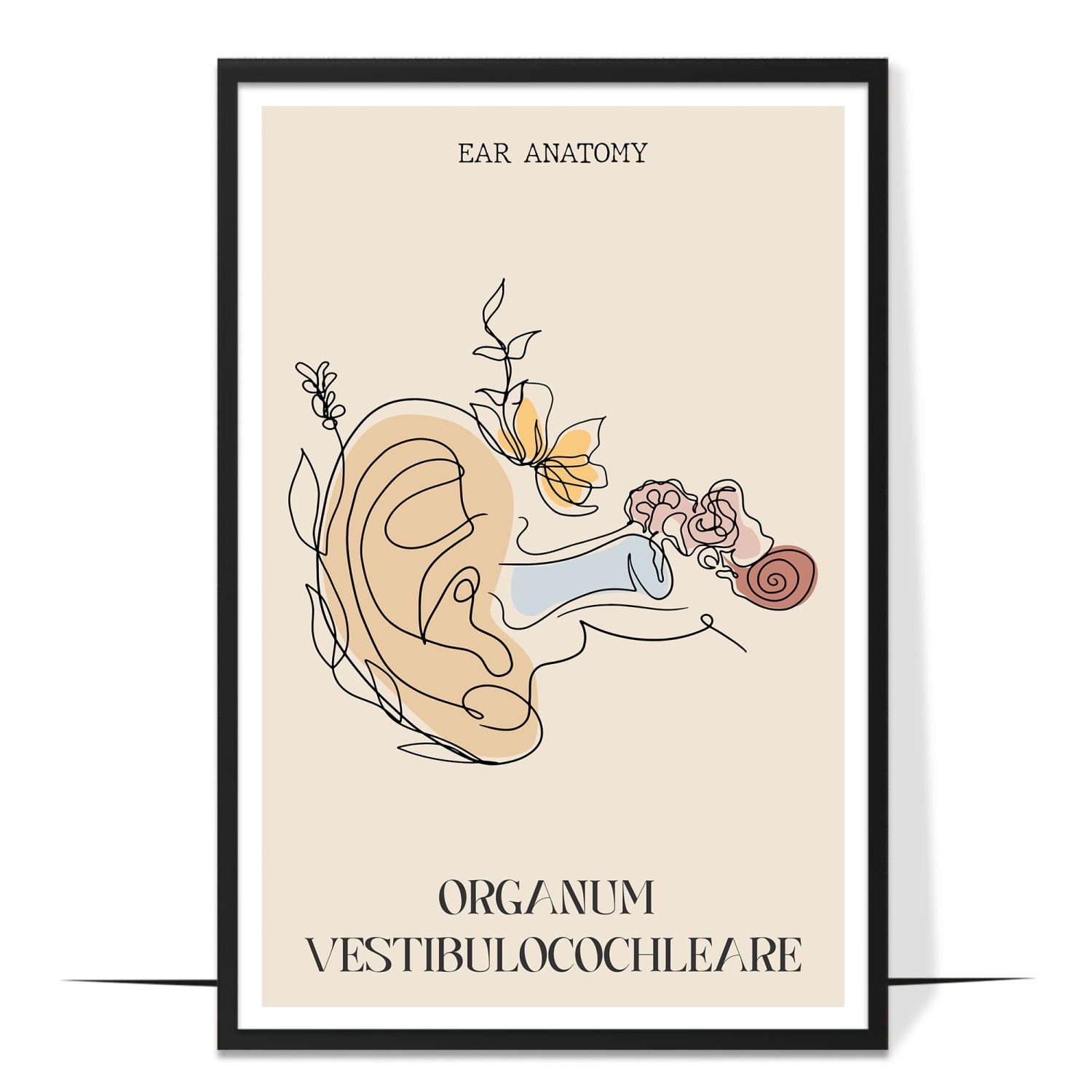 Abstract Ear Anatomy Poster