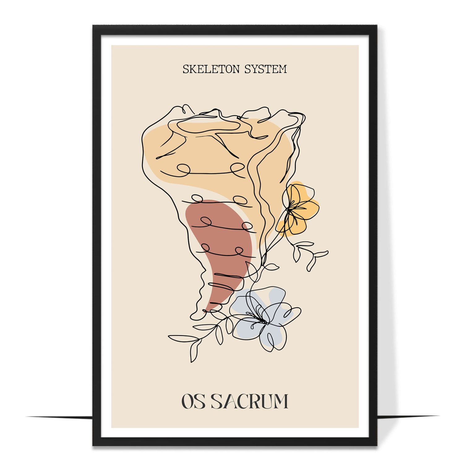 Abstract Os Sacrum Anatomy Poster