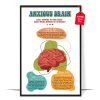 Anxious Brain Poster