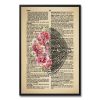 Vintage Breast Anatomy Poster