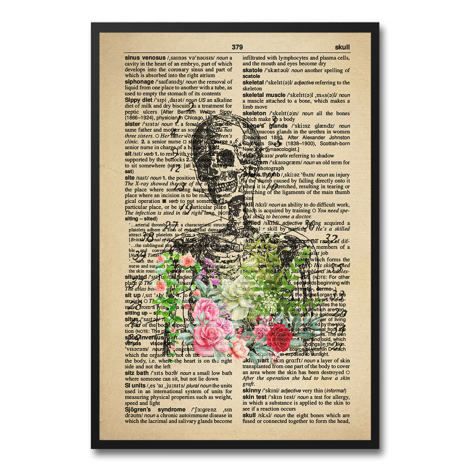 Vintage Skeleton Anatomy Poster