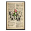 Vintage Pelvis Anatomy Poster