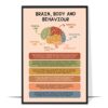Brain Body and Behaviour Printable