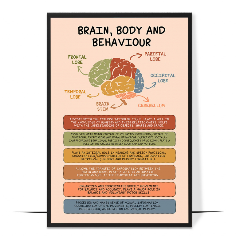 Brain, Body and Behaviour hand-drawn boho print — A hand-drawn boho loop linking brain, body and