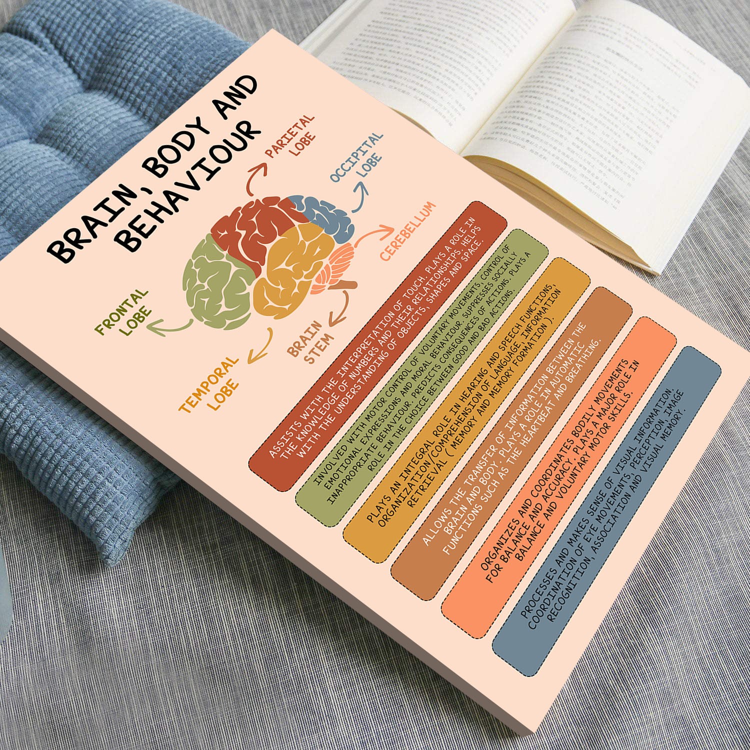 Brain Body and Behaviour Mental Health Printable - Image 4