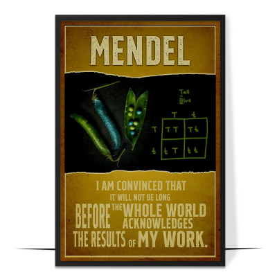 Mendel Inspirational Quote Wall Art