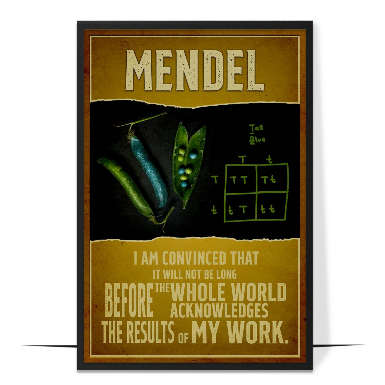 Gregor Mendel hand-drawn portrait poster — A clean faceless portrait beside bold hand-let