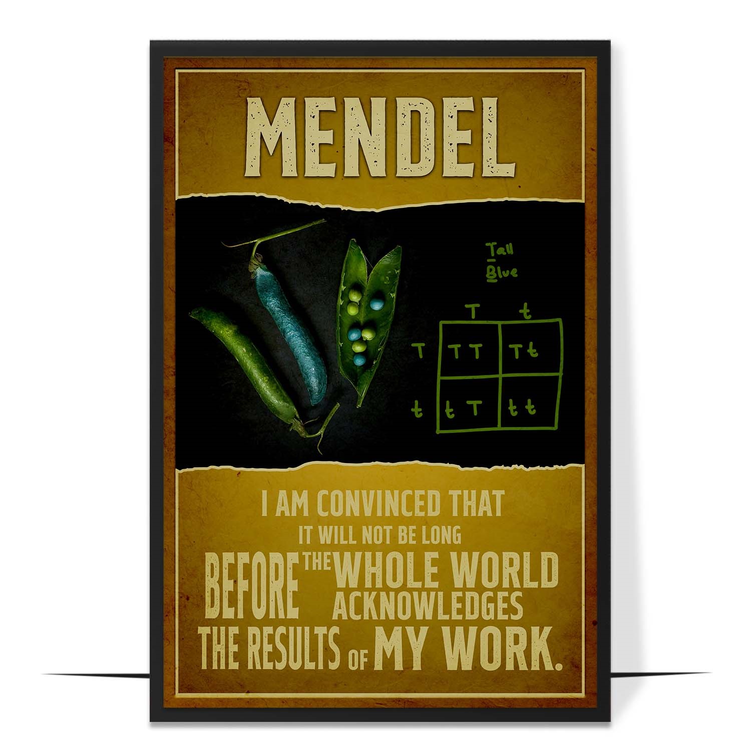 Mendel Inspirational Quote Wall Art