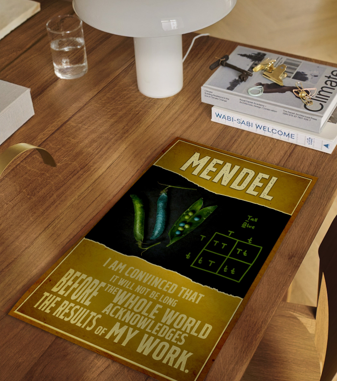 Gregor Mendel poster framed and displayed in a classroom