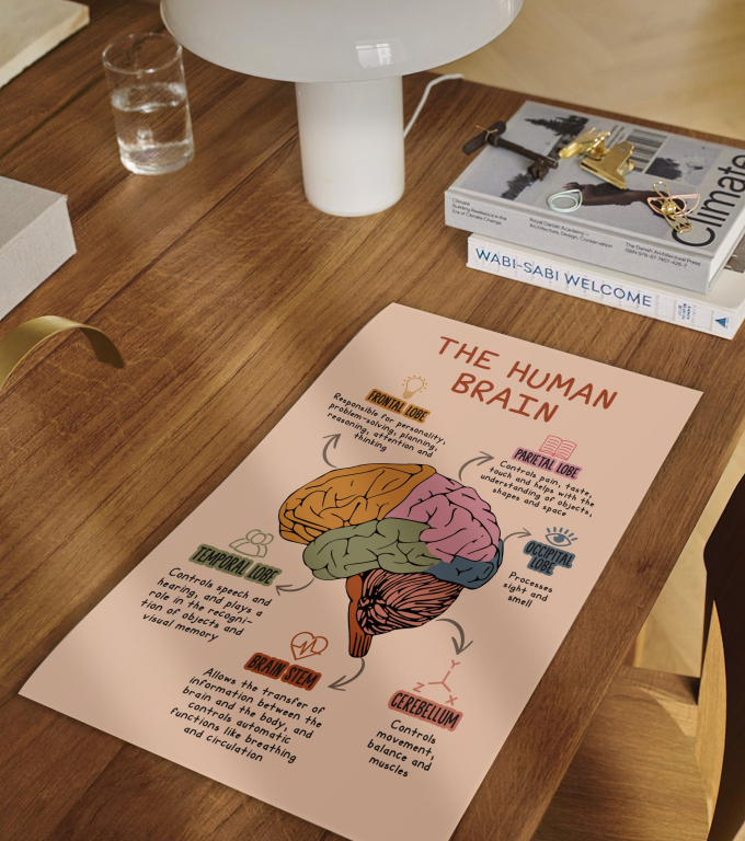 The Human Brain boho print framed and displayed in a classroom