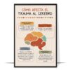 Trauma Affects Brain Spanish Printable
