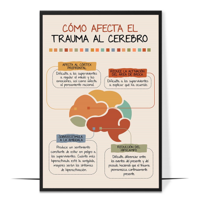 Trauma Affects Brain Spanish Printable