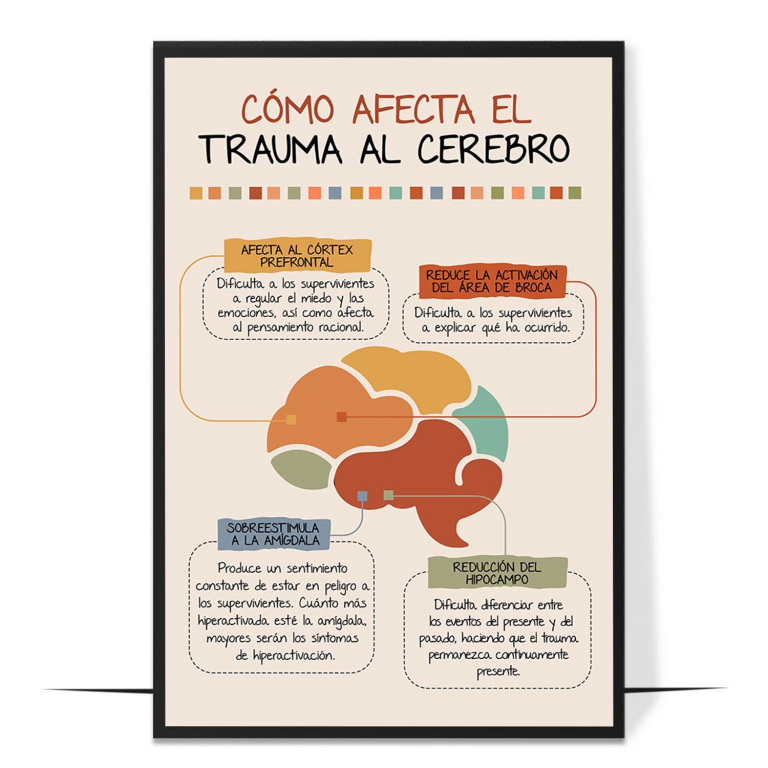 Trauma and the brain poster in Spanish — A simple, Spanish-labelled map of the brain regions trau