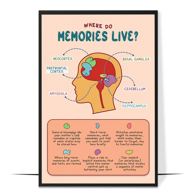 Where Memories Live hand-drawn boho print — A hand-drawn boho map of the brain's memory hu